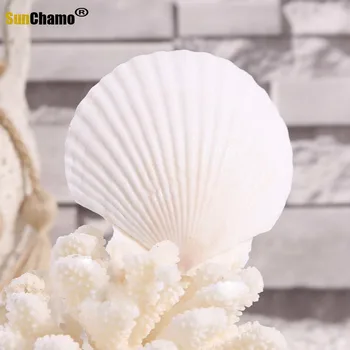 3ks 6-15 CM Prírodná Biela Seashell Veľké Mušle Samolepky na Stenu Domáce Dekorácie Nástenné Maľby Ryby Nádrž Akvárium Grilovanie