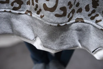 Streetwear Študentov Bavlna Mikina Ženy Kabát 2020 Nový Kórejský Jar Leopard Vytlačené Voľné Pulóver S Kapucňou, Topy