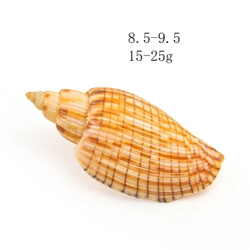 9-10 cm Nového Kukurica Slimáky Seashell Kukurica Conch Vzor Beach Decor pre Domáce akvárium a Záhradné Akvárium DIY Dekorácie Shell