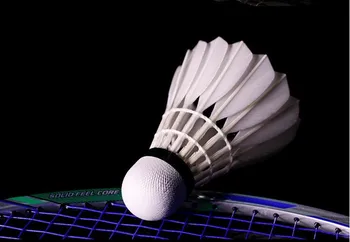 Lepší Ako Li-Ning A+60extra Badminton vysokú MY7 Husacie Pierko Letí Stability Odolné Birdies Battledore L9999SPC