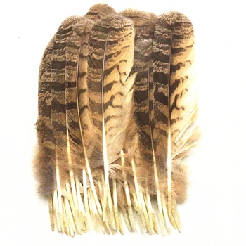 10pcs Vzácna Sova Eagle Feather 10-12inch/25-30 cm Prírodné Eagle Perie pre Remeslá šperky robiť Rôzne Dekoratívne Plumas Oblaky