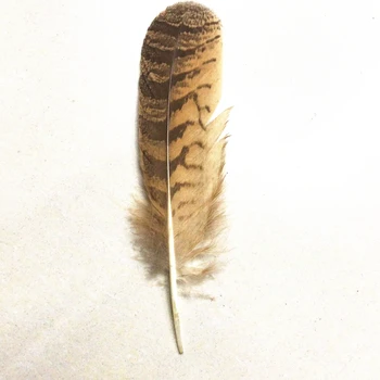 10pcs Vzácna Sova Eagle Feather 10-12inch/25-30 cm Prírodné Eagle Perie pre Remeslá šperky robiť Rôzne Dekoratívne Plumas Oblaky
