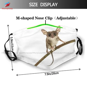 Rýchle Dodanie Opossum Tvár Masku Proti Prachu Módne Polyester Unisex Úst Pleťová Maska S Filtrom